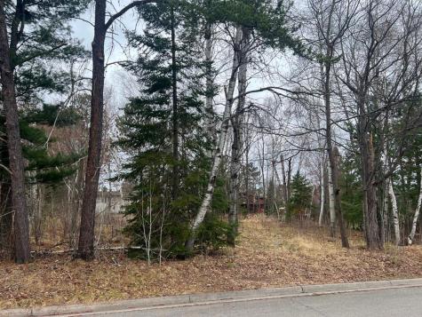 Tbd 3rd Avenue SW Grand Rapids MN 55744