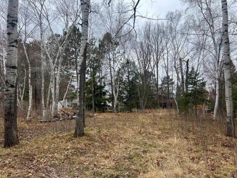 Tbd 3rd Avenue SW Grand Rapids MN 55744