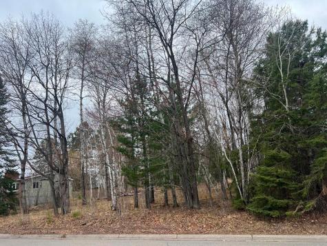 Tbd 3rd Avenue SW Grand Rapids MN 55744