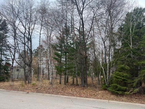 Tbd 3rd Avenue SW Grand Rapids MN 55744