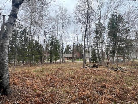 Tbd 3rd Avenue SW Grand Rapids MN 55744