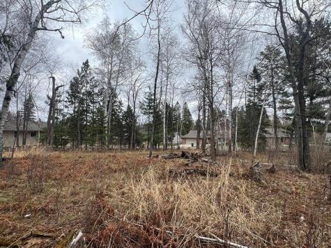 Tbd 3rd Avenue SW Grand Rapids MN 55744