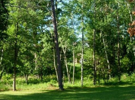 8809 Kabekona Ridge Drive NW Walker MN 56484