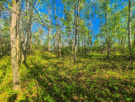 Tbd Heather Trail Nevis MN 56467