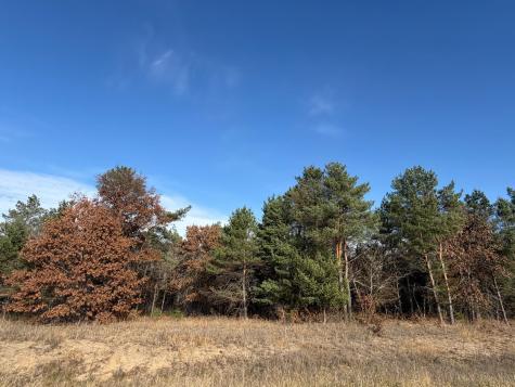 L5,BLK1 262nd Avenue NW Big Lake MN 55309