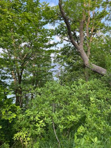 Tbd Wild Rose Trail Frazee MN 56544