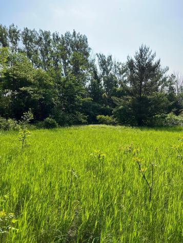 Tbd Wild Rose Trail Frazee MN 56544