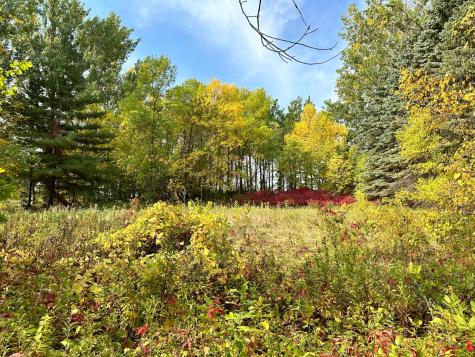 Tbd Wild Rose Trail Frazee MN 56544