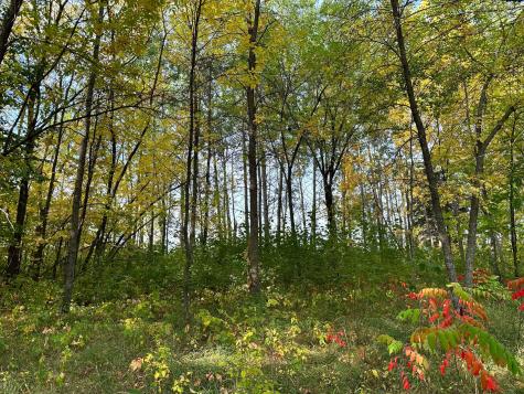 Tbd Wild Rose Trail Frazee MN 56544
