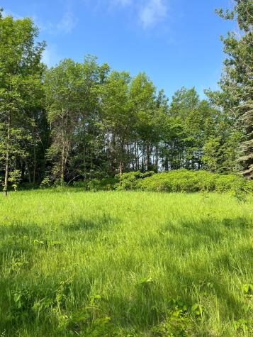 Tbd Wild Rose Trail Frazee MN 56544