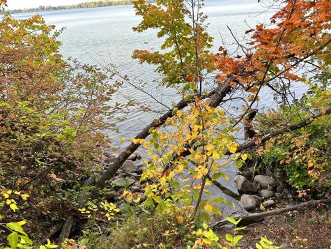 Tbd Wild Rose Trail Frazee MN 56544