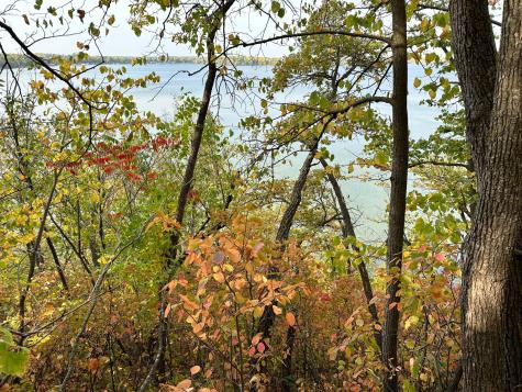 Tbd Wild Rose Trail Frazee MN 56544
