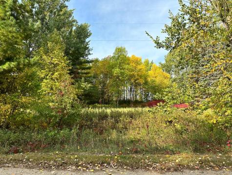 Tbd Wild Rose Trail Frazee MN 56544