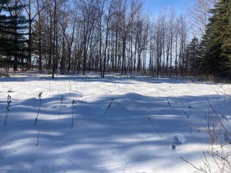 Tbd Wild Rose Trail Frazee MN 56544