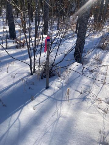 Tbd Wild Rose Trail Frazee MN 56544