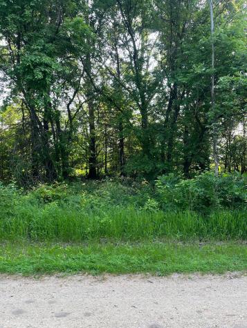 Tbd Wild Rose Trail Frazee MN 56544