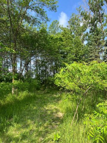 Tbd Wild Rose Trail Frazee MN 56544