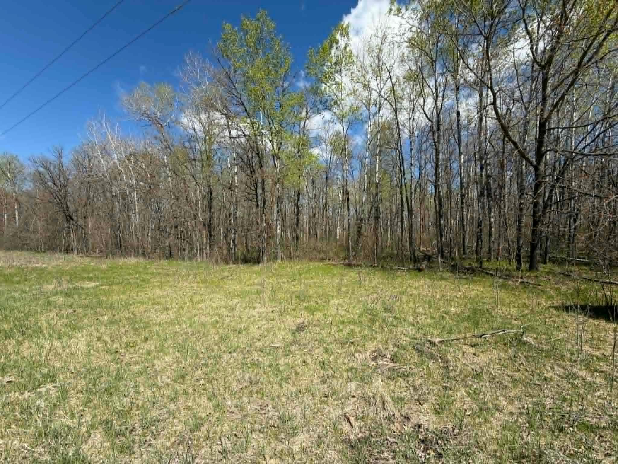 Tbd Lamon Road NE Bemidji MN 56601