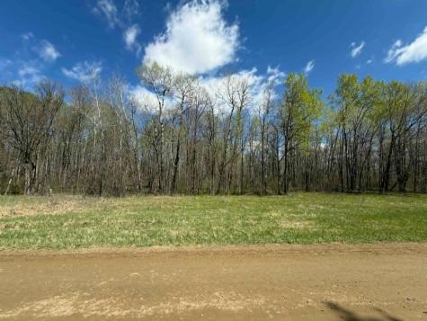 Tbd Lamon Road NE Bemidji MN 56601