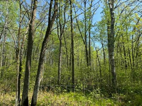 Tbd Lamon Road NE Bemidji MN 56601