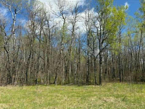Tbd Lamon Road NE Bemidji MN 56601