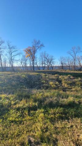 Tbd Lot1 County Road 9 NE Willmar MN 56201