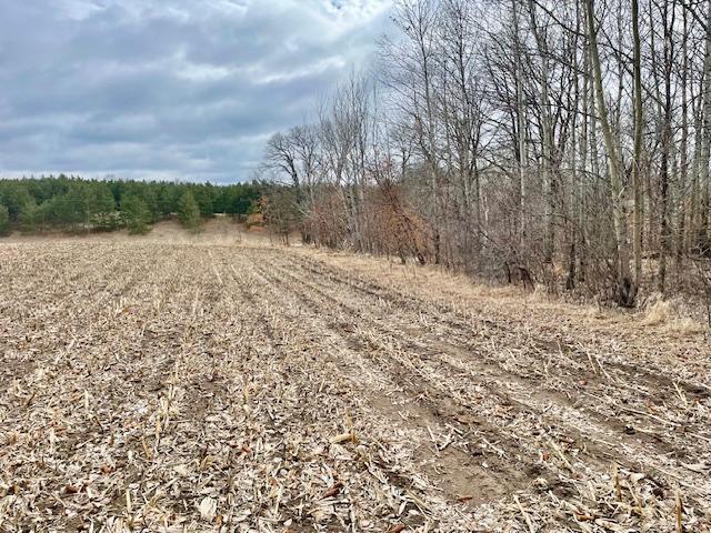 Tbd Co Highway 1 Underwood MN 56586