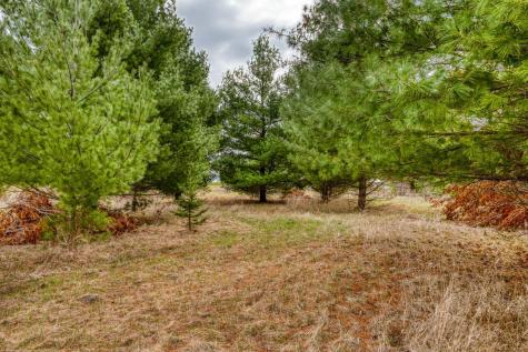Tbd Hwy 71 South Bemidji MN 56601