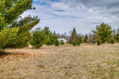 Tbd Hwy 71 South Bemidji MN 56601