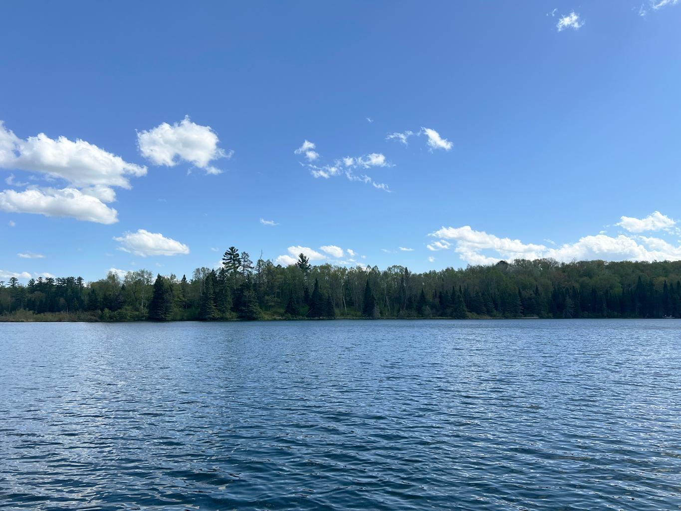 5585 Woods Bay Drive NE Outing MN 56662