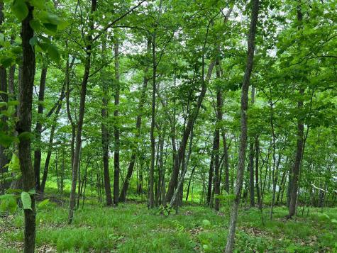 5585 Woods Bay Drive NE Outing MN 56662