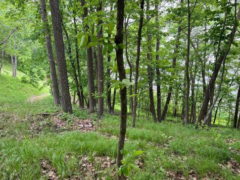 5585 Woods Bay Drive NE Outing MN 56662