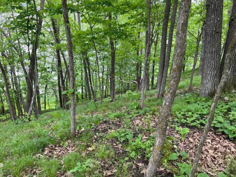 5585 Woods Bay Drive NE Outing MN 56662