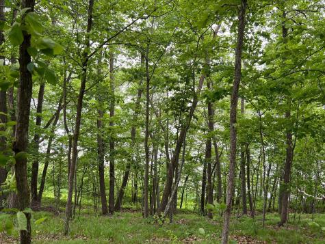 5585 Woods Bay Drive NE Outing MN 56662