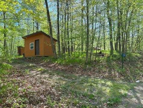 5585 Woods Bay Drive NE Outing MN 56662
