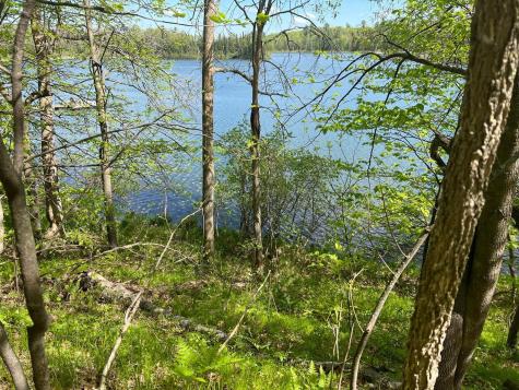 5585 Woods Bay Drive NE Outing MN 56662