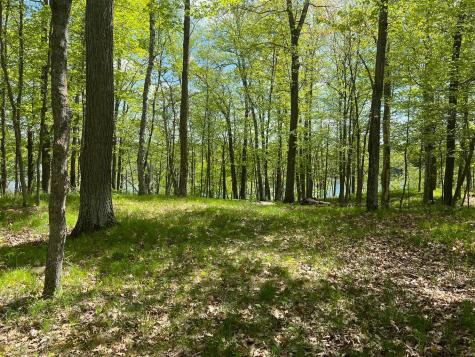5585 Woods Bay Drive NE Outing MN 56662