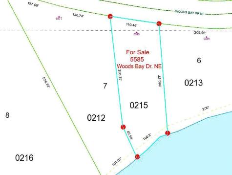 5585 Woods Bay Drive NE Outing MN 56662