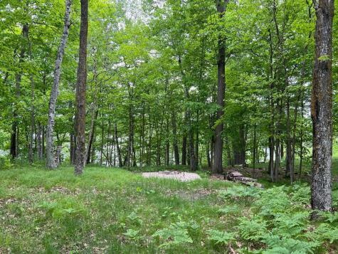 5585 Woods Bay Drive NE Outing MN 56662