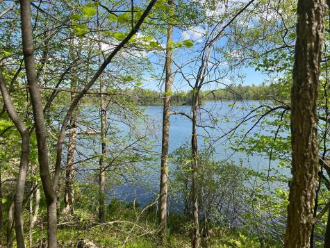 5585 Woods Bay Drive NE Outing MN 56662
