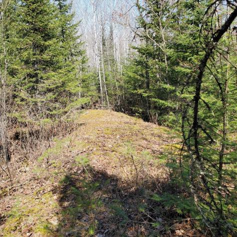 10508 Bessette Road Orr MN 55771