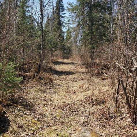 10508 Bessette Road Orr MN 55771