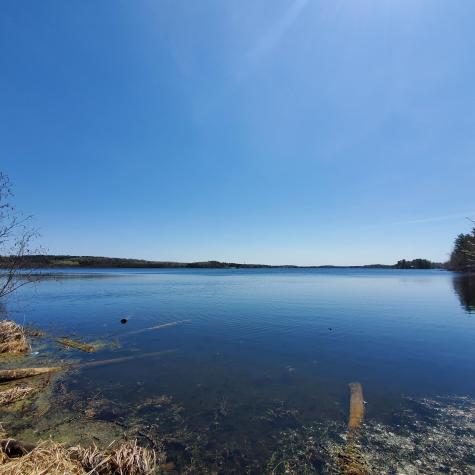 10508 Bessette Road Orr MN 55771