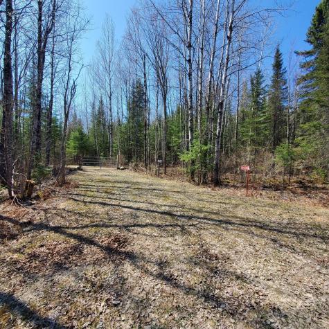 10508 Bessette Road Orr MN 55771