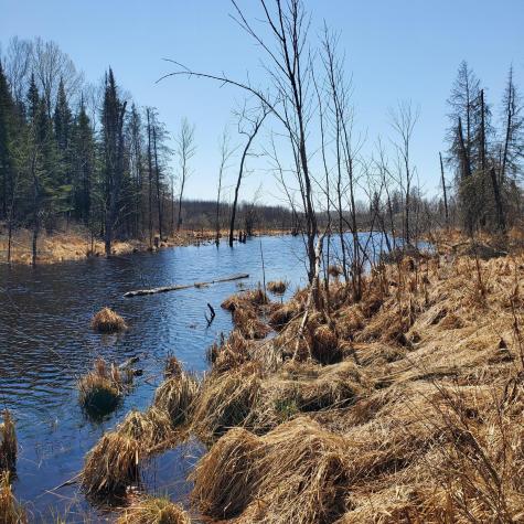 10508 Bessette Road Orr MN 55771