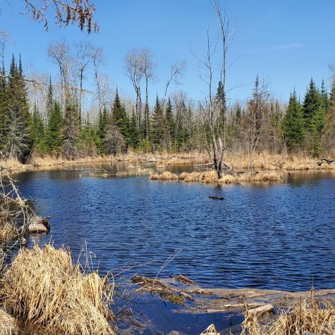 10508 Bessette Road Orr MN 55771