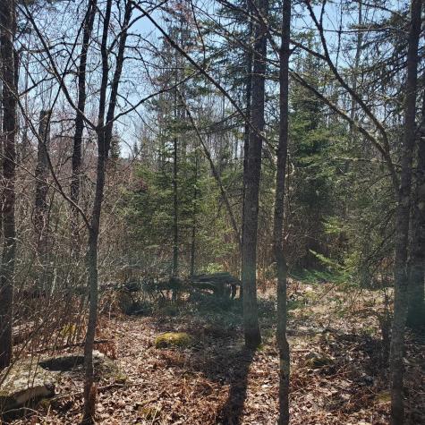 10508 Bessette Road Orr MN 55771