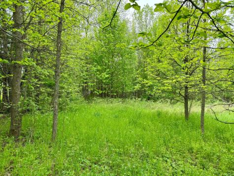 1065 105th Avenue Milaca MN 56353
