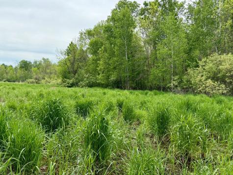 1065 105th Avenue Milaca MN 56353