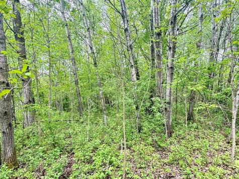 1065 105th Avenue Milaca MN 56353